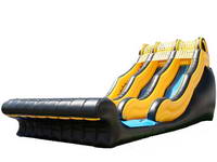 Inflatable Superbowl Slide With Dual Lane