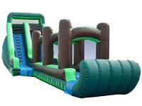 Inflatable Tropical Screamer Water Slide