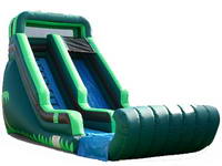 Inflatable Tropical Theme Water Slide