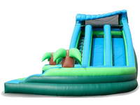 Inflatable Dual Lane Curvy Water Slide