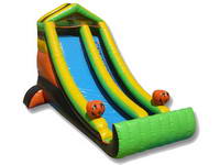 Inflatable Water Slide WS-158