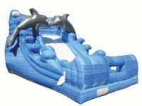Inflatable Lovely Dolphin Water Slide