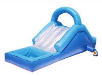 Home Use Inflatable Water Slide For Party