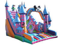 Inflatable Jumping Castle Slide Disney Combo for Kids Amusement