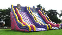Inflatable Double Drop Slide In Jungle Animal Theme