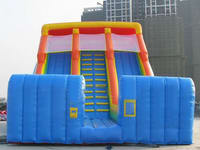 Giant Inflatable Slide With Safety Net