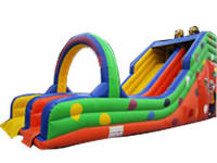 Giant Inflatable Dual Lanes Slide For Event Games