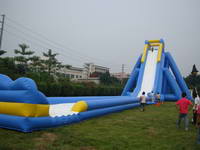 New Arrival Giant Inflatable Slide Hippo Slide for Sale