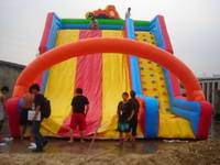 Giant Inflatable Water Slide With Single Lane