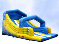 Inflatable Single Lane Water Slide For Sale