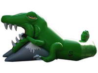 Lively Inflatable Crocodile Tunnel