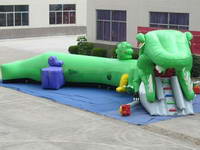 Inflatable Lizard Tunnel