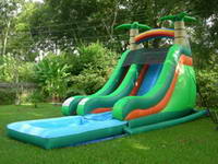 Tropical Super Splash Down Water Slide Perfect for Party