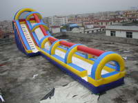 58ft Giant Inflatable Tropical Dual Water Slide for Amusement Park