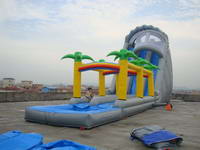 Roaring River Inflatable Water Slide