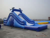 Inflatable Dolphin Water Slide for Summer