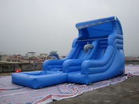 Durable Inflatable Dolphin Water Slide