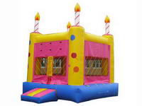 Inflatable Birthday Party Jumping Castle CAS-75