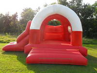 Jungle Theme Inflatable Bouncer Combo