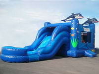 Dolphin Inflatable Bounce House Water Slide with Pool Combo