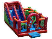 Inflatable Bounce Slide for Party