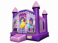 Pretty Disney Princess Inflatable Jumping Caslte Comobo