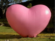 Air Sealed Strong Style Inflatable Heart Model