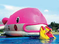 Giant Pool Water Games Inflatable Whale Water Slide for Kids