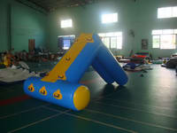 New Desigh CE Approval 5 Foot Inflatable Water Slide Tubes for Kids