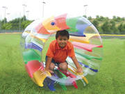 Custom Made Water Roller Ball for Kids