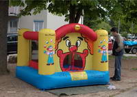 Jumping Castle Bouncer Kids Outdoor Backyard Party