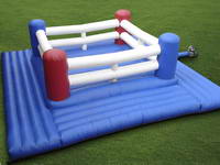 Fantastic Fun 8m Inflatable Bouncy Boxing Ring Arena for Party Rentals