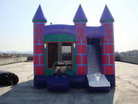 3 In 1 Inflatable Purple Palace Castle Combo