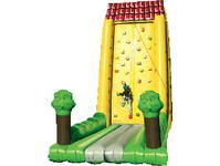 All on the Sheer Face of Inflatable Rock Climbing Wall