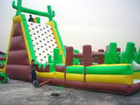Desert Cactuses Obstacle Challenge Inflatable Rock Climbing Wall and Slide Combo