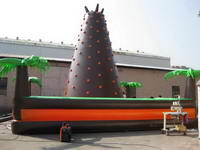 Brown Inflatable Rock Climbing Wall