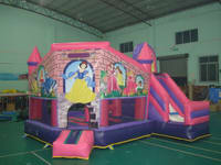 Digital Printing Princess Inflatable Castle Combo