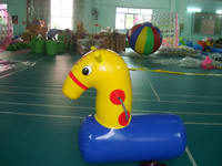 Team Games Pony Hops Inflatables for Hire