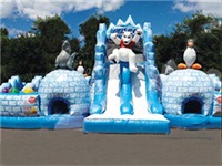 Inflatable Polar Extreme Obstacle Course