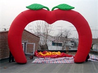 Public Service Advertising Inflatable Arch Care for Children