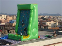 Green Sheer Face Inflatable Rock Climbing Wall for Sale