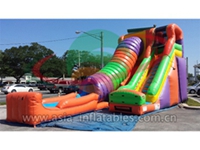 Fun Inflatable Tunnel Water Slide