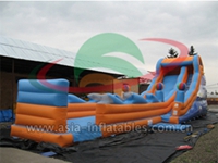 Single Lane Inflatable Dry Slide
