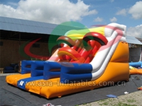inflatable Dual Lane Slide