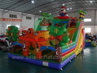 Inflatable Mario Cartoon Slide