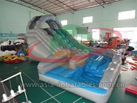 Inflatable Wild Rapids Water Slide