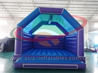 Inflatable Blue Bouncy Castle