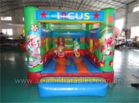 Inflatable Mini Jumping Castle
