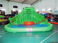 Commercial Use Inflatable Crocodile Water Slide