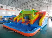 Inflatable Water Palm Tree Slide Combo